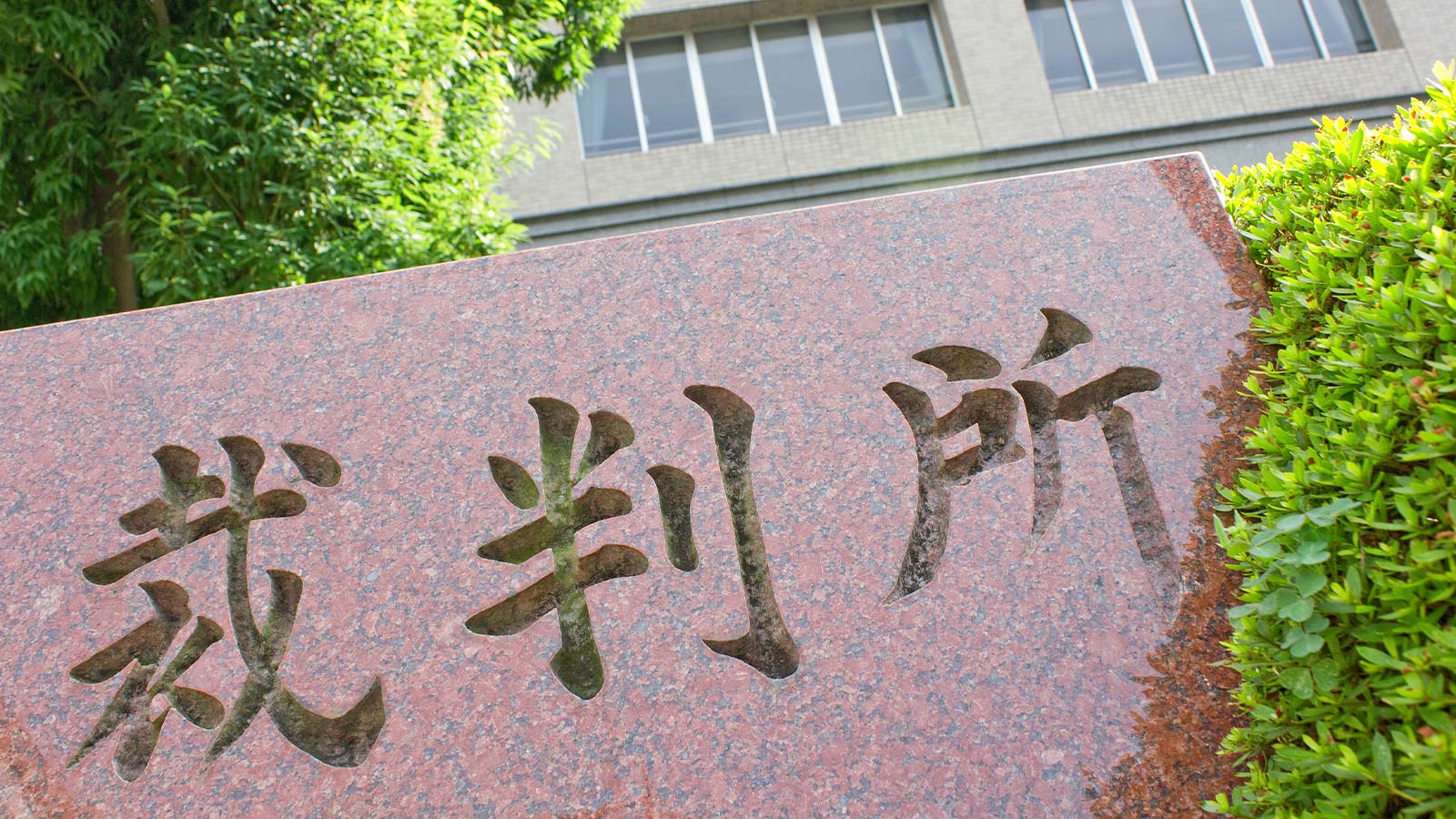 取締役による仕入品の不正処分について、代表取締役の監視義務違反が認められたケース